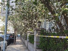 -天津五大道文化旅游区