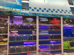 -大润发(王庄店)