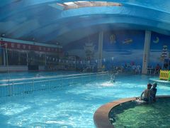 -李家军游泳健身