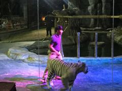 -清迈夜间动物园