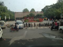 济南森林公园-济南森林公园