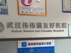 -伟伟宠物医院·瑞派猫友好医院·猫科(光谷店)