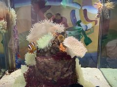 -太平洋海底世界