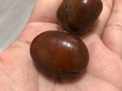 -栗满秋(燕丰西坝河店)