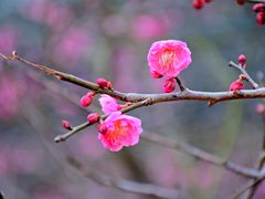 -溪口-滕头旅游景区