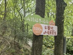 -虞山城墙