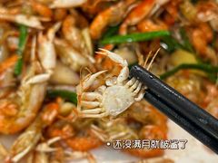 -新楚记