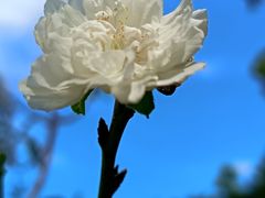 -桃花涧