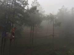 -梦幻奥陶纪景区