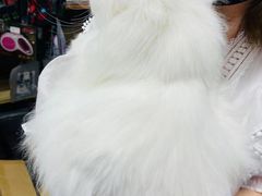 -PETKIT 小佩宠物·低压洗护·美容·寄养(安远店)