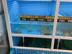 水产区-金龙·打边炉(南京西路店)