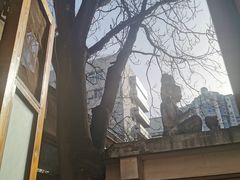 -朝阳区图书馆(小庄店)