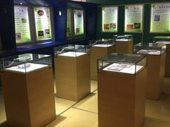 -上海昆虫博物馆