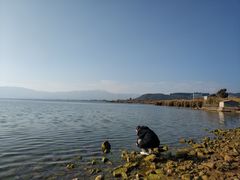 -抚仙湖禄充风景区