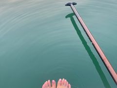 -广州市流溪河国家森林公园