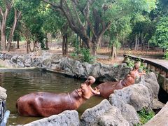 -清迈夜间动物园