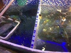 -山里屯铁锅炖(哈尔滨中央大街店)