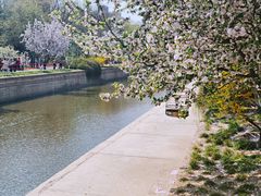 -海棠花溪(元大都城垣遗址公园)