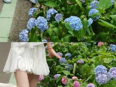 -合肥滨湖国家森林公园