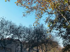 -章云板鸭(评事街店)