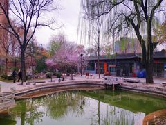 -碑林公园