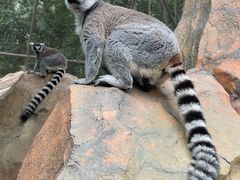 -北京野生动物园