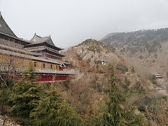 -石老人观光园