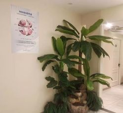 -健身堂科技美肌SPA