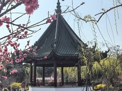 -无锡蠡湖国家湿地公园-蠡园