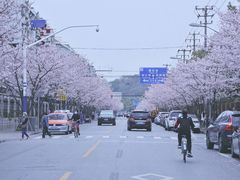 -永乐路-路侧停车场