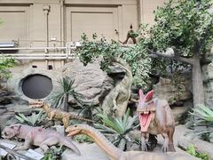 -国家自然博物馆