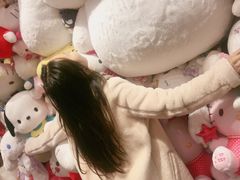 -首开·龙湖成都西宸天街