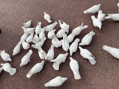 -泉城欧乐堡海洋极地世界