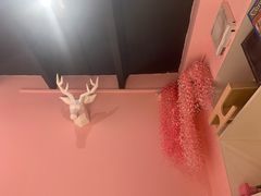 -BGM CLUB二次元主题桌游店(康王路店)