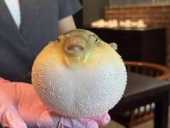 -永安鱼庄·镇江菜(东吴路店)