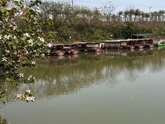 -江门古劳水乡旅游区