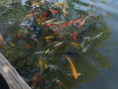 -鲜鱼口老字号美食街