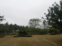 -万绿园