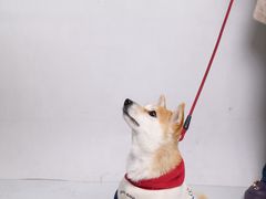 -白箱照相馆·外拍