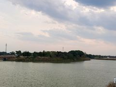 -西京湾花海