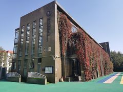 -卓悦童国际幼儿园