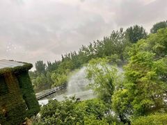 -梅林春晓花园餐厅