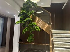 -正清和·推拿养生(二七广场店)