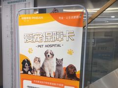 -伟伟宠物医院·CT影像中心·瑞派犬猫综合性门诊(汉口总院)