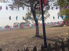-上海都市菜园