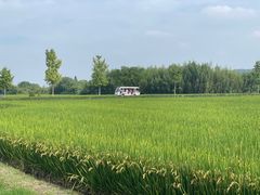 -良渚古城遗址公园