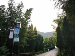 -湾里人家(旺山景区店)