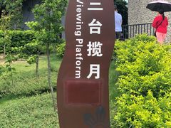 -芒洲湿地公园