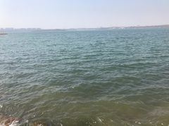 -丁香湖公园