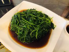 金花菜酒香-新聚丰菜馆(太监弄店)